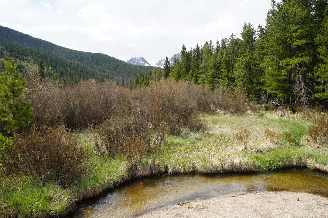 View at Beaver Ponds Boardwalk