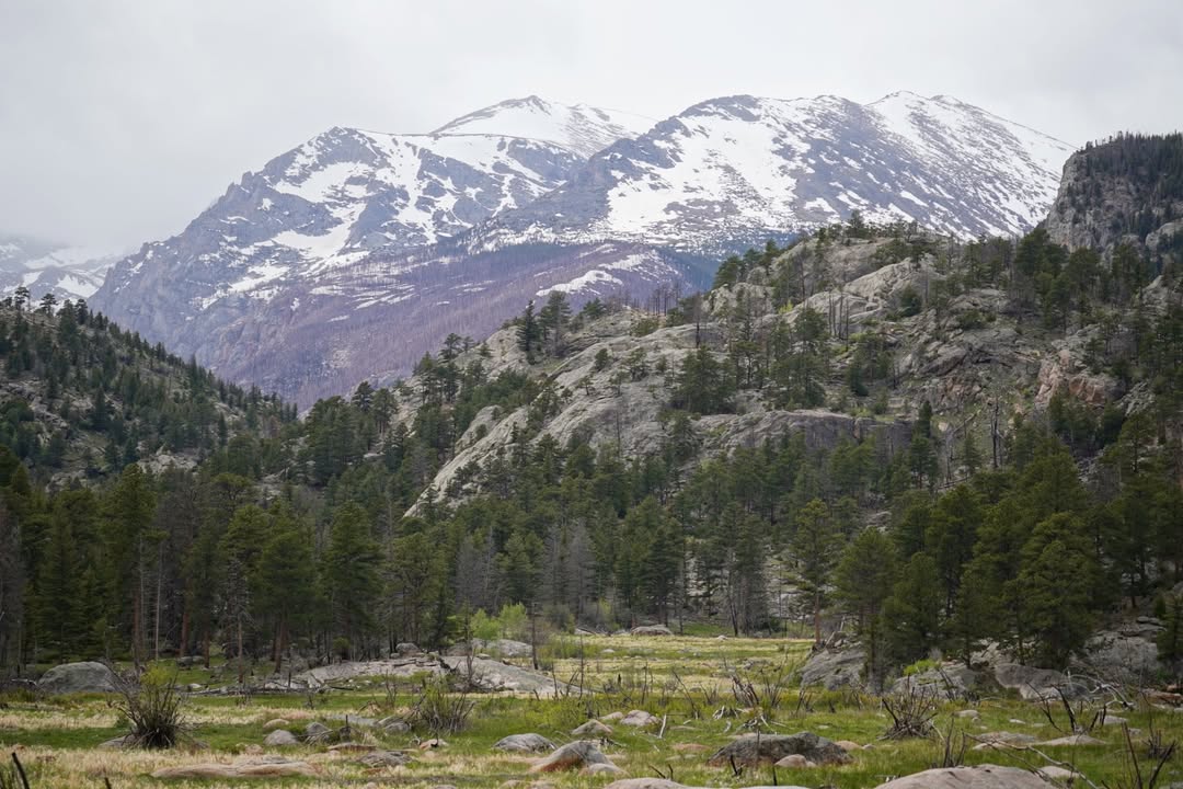 View at Moraine Park