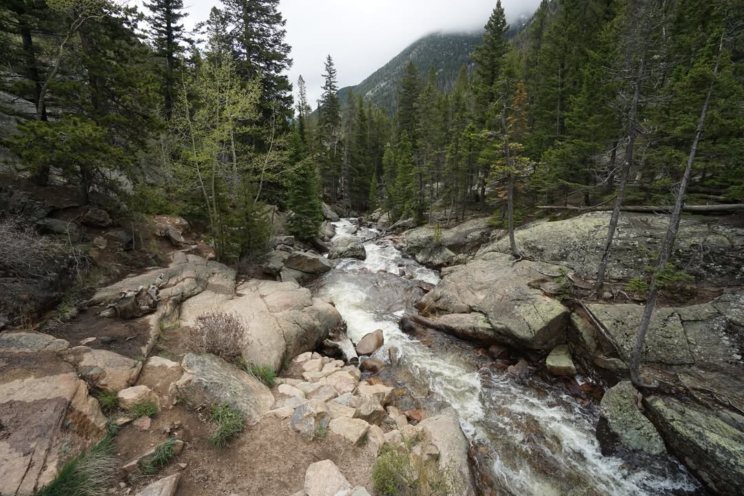 View from Old Fall River Road