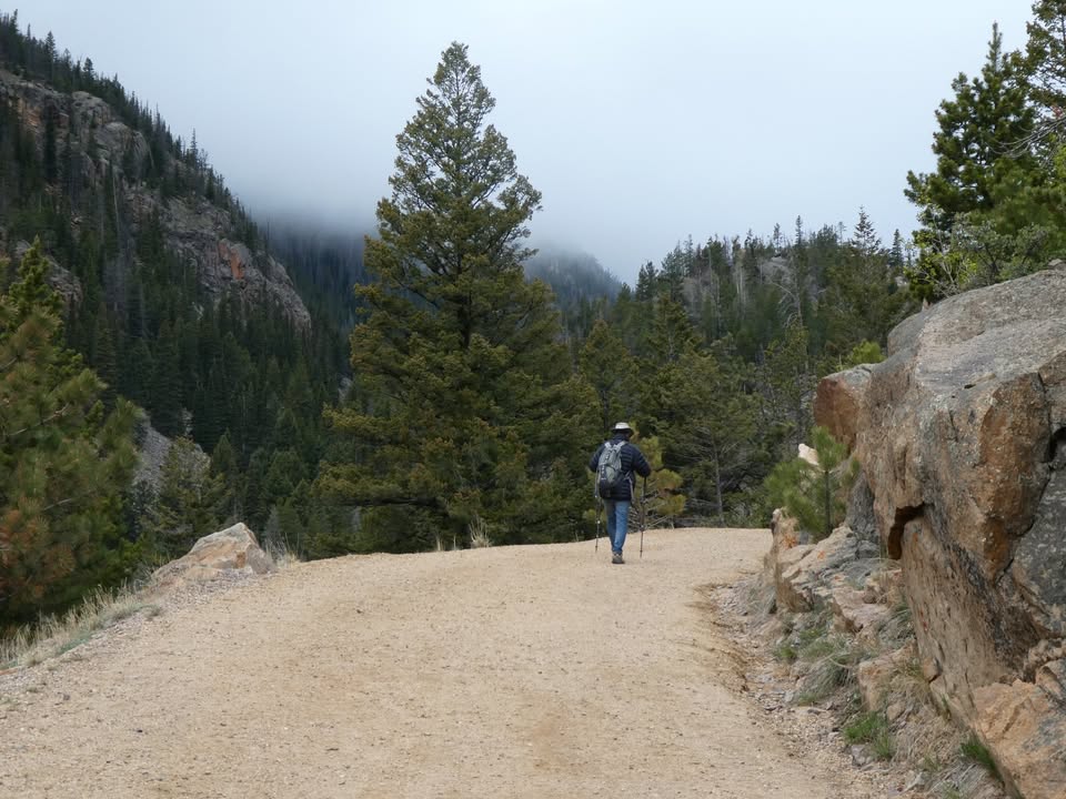 Walking Old Fall River Road