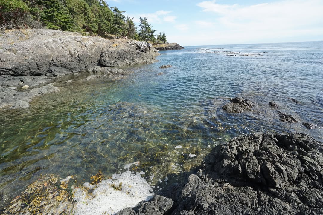 Lime Kiln Point State Park