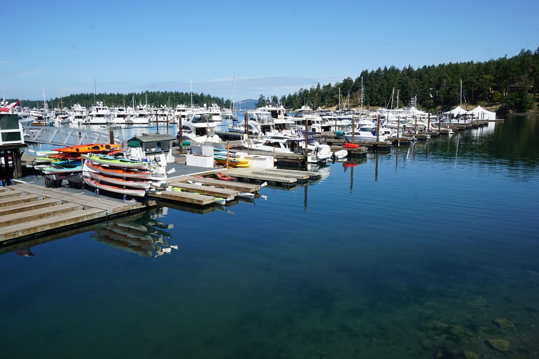 Roche Harbor