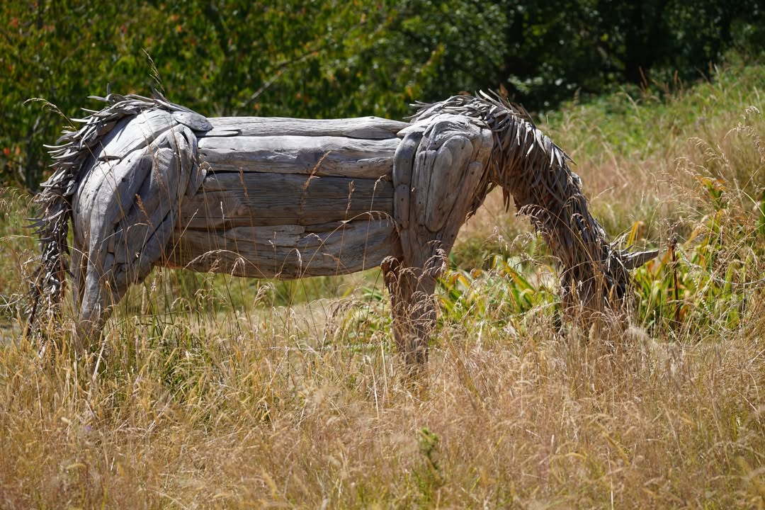 San Juan Sculpture Garden