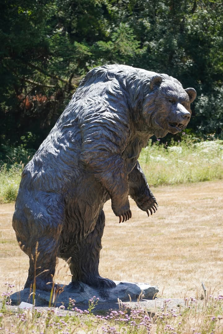 San Juan Sculpture Garden