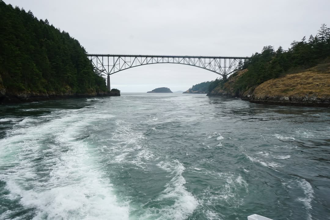 Whale Tour, Deception Pass Bridge