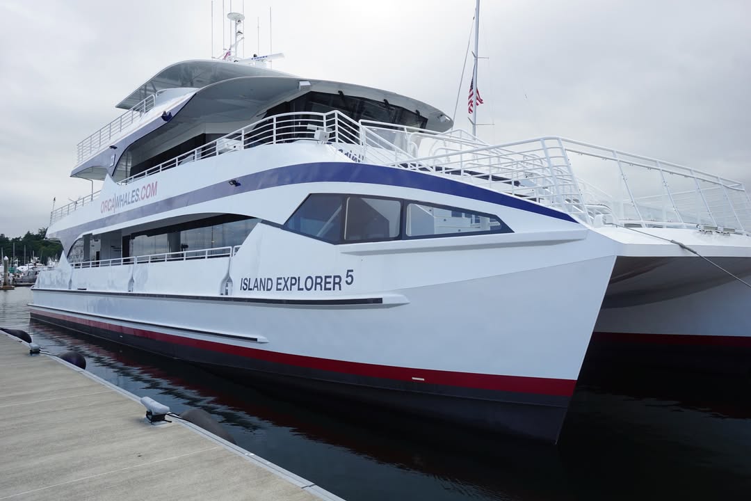 Whale Watching Tour boat