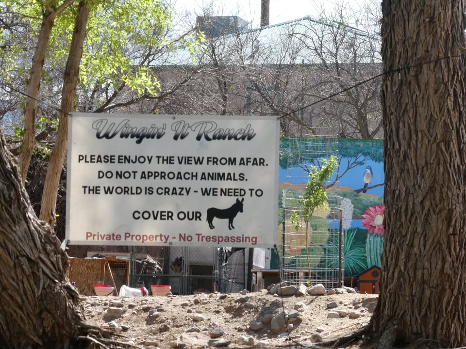 Kayaking Verde River