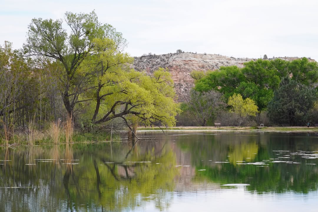 Lagoon at Dead Horse Ranch State Park