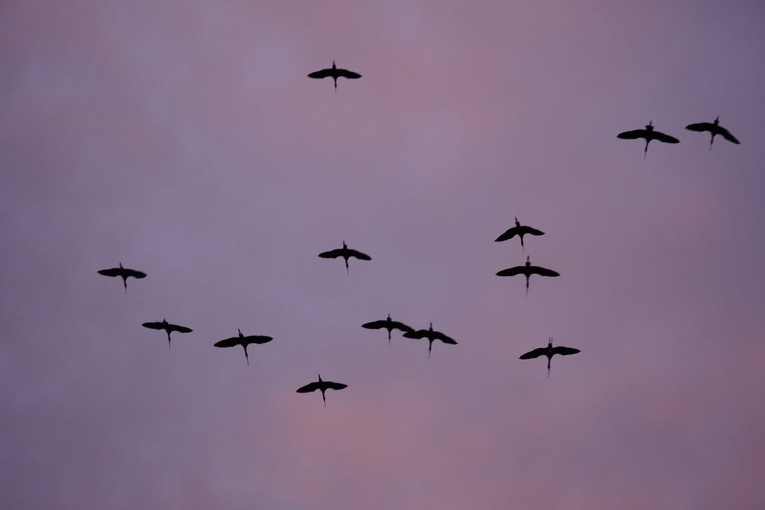 Sunset at Dead Horse Ranch State Park