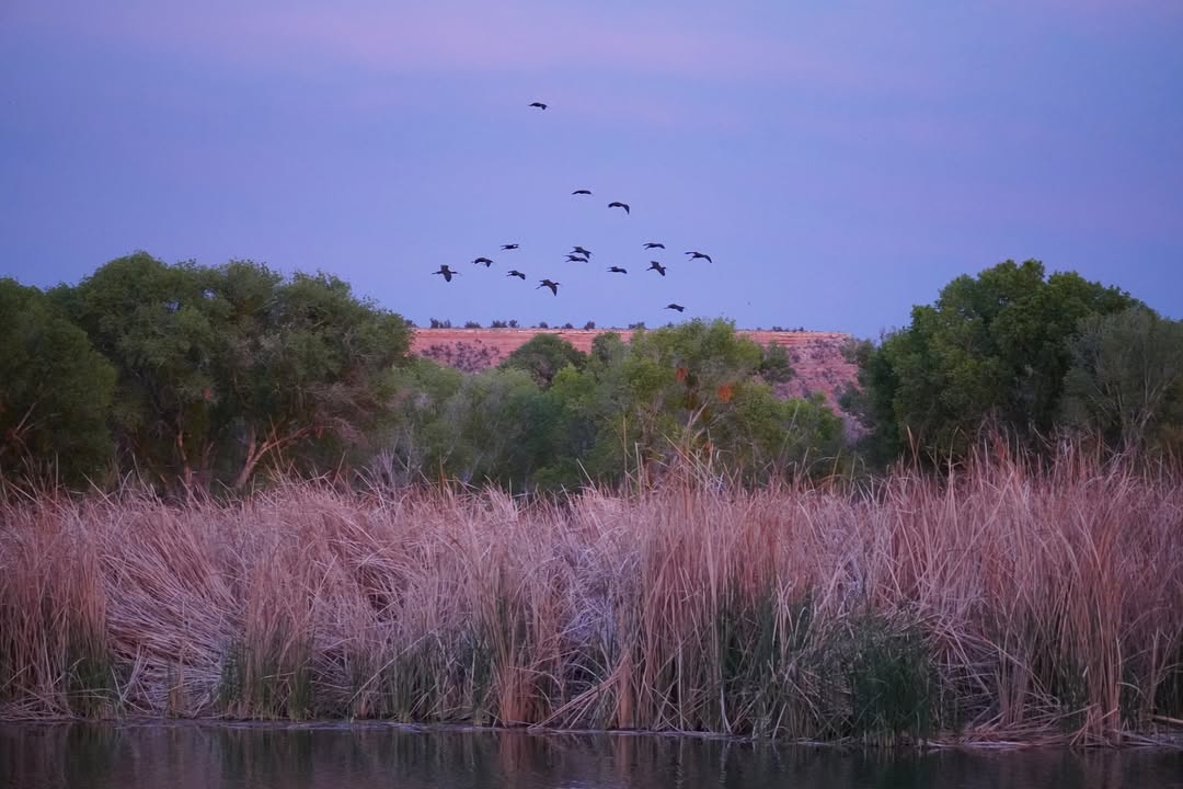 Sunset at Dead Horse Ranch State Park