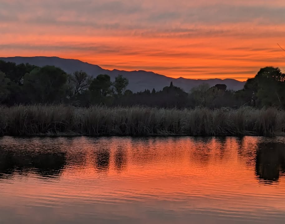 Sunset at Dead Horse Ranch State Park