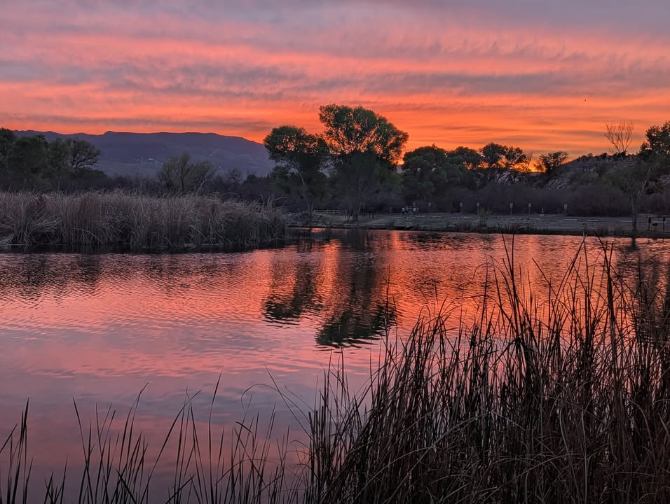 Sunset at Dead Horse Ranch State Park