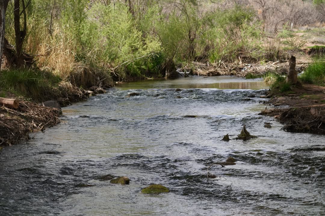 Verde River Greenway Trail