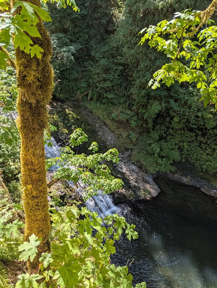 Drake Falls at Silver Falls State Park