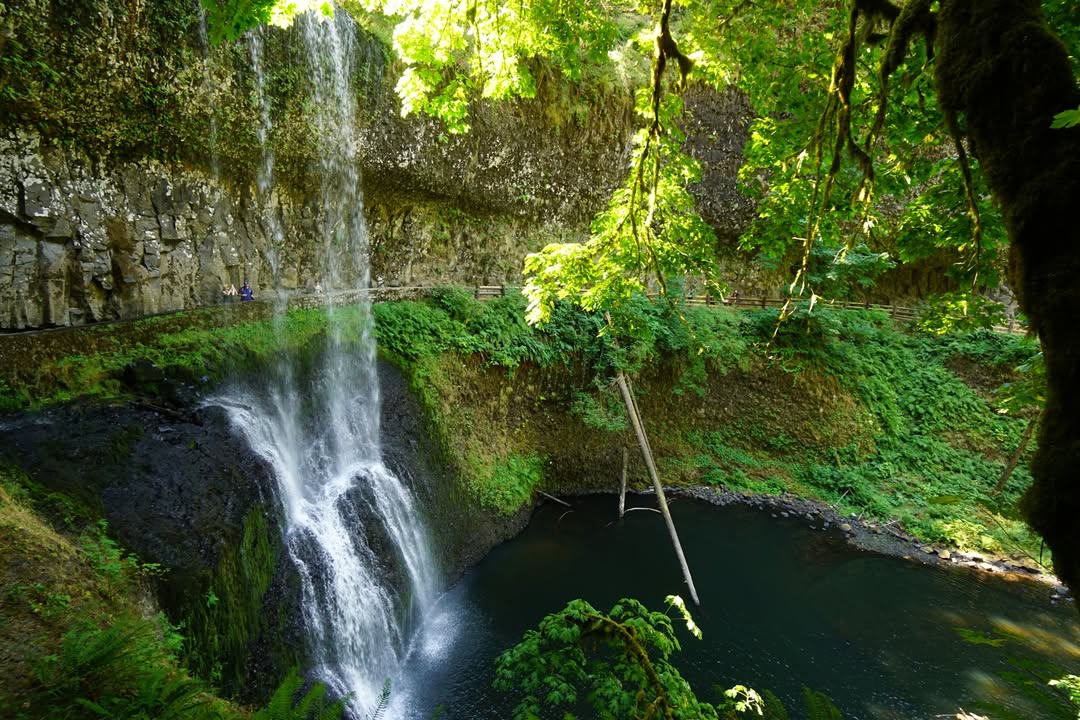 Lower South Falls at Silver Falls State Park