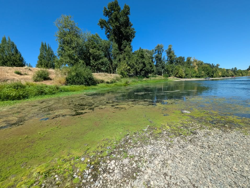 Riverview Park in Independence