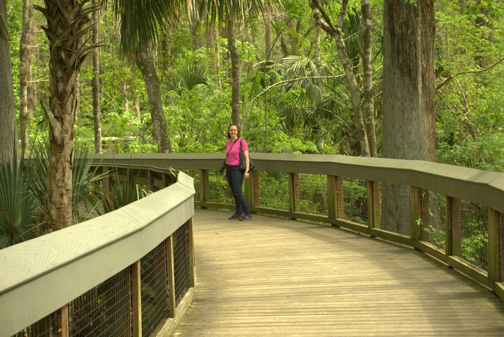 Boardwalk at Silver Springs