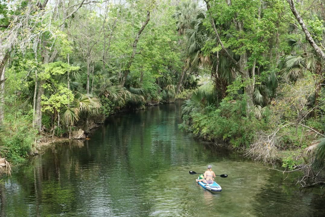 Silver Springs Boardwalk View