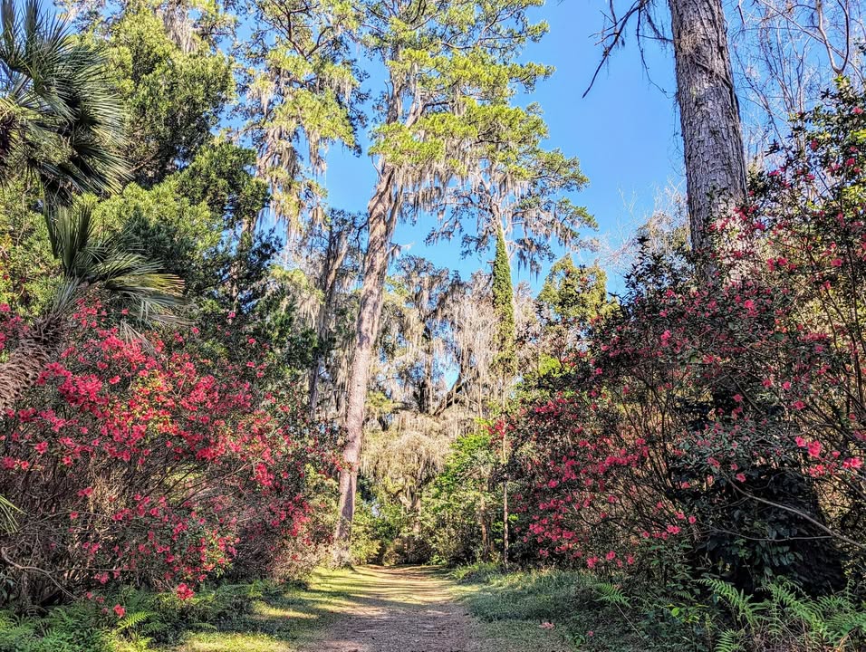 Alfred B. Maclay Gardens State Park