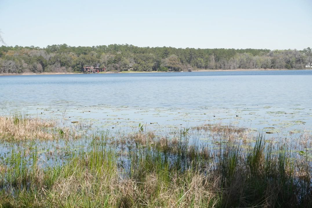 Alfred B. Maclay Gardens State Park