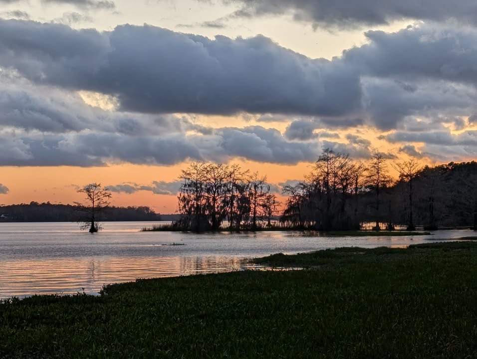 Lake Talquin at High Bluff Campground