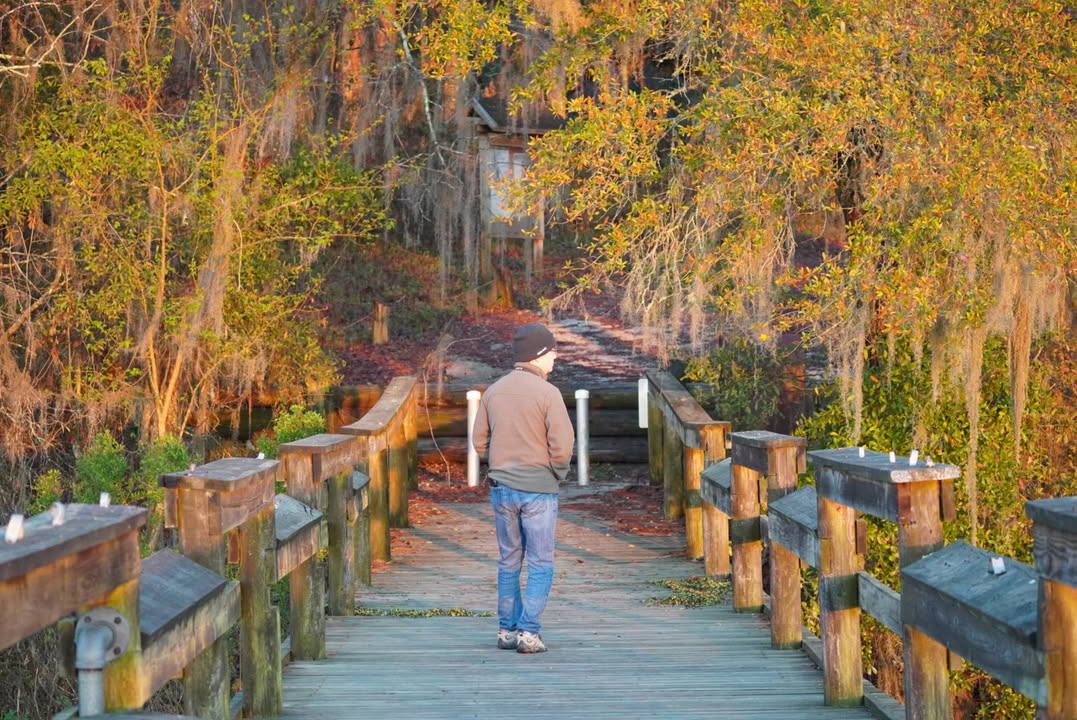 Lake Talquin Pier at High Bluff Campground