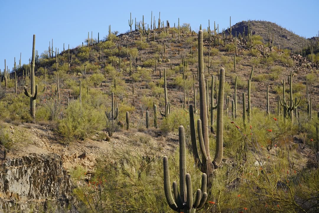 Tucson, AZ