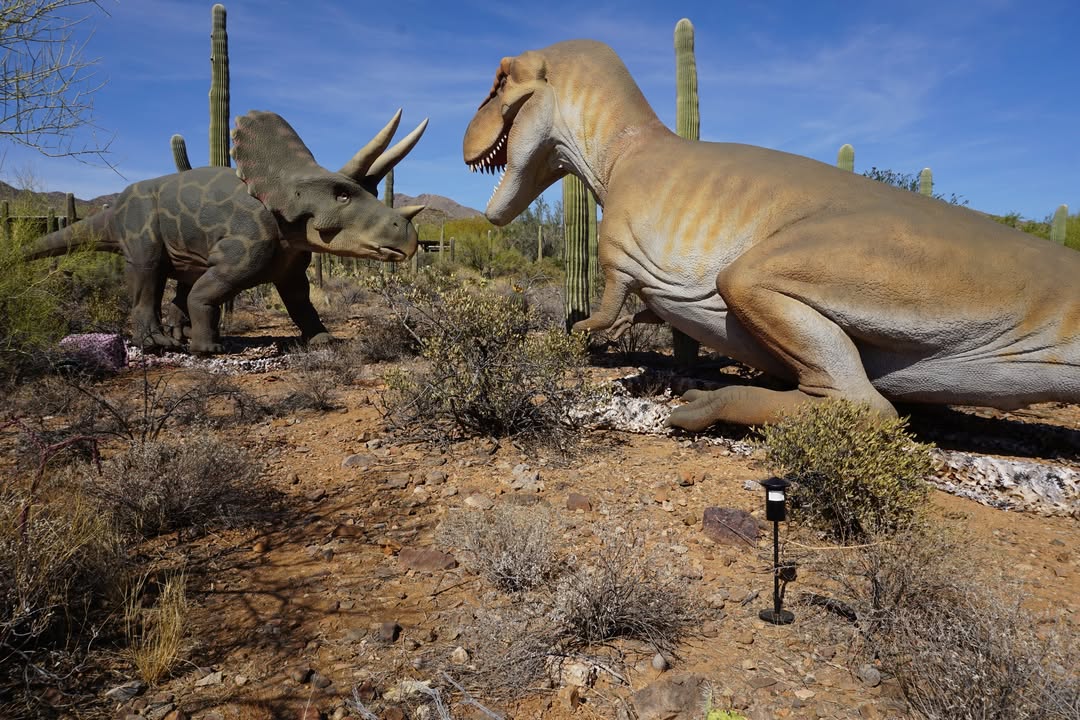 Animatronic Dinosaurs at Arizona-Sonora Desert Museum