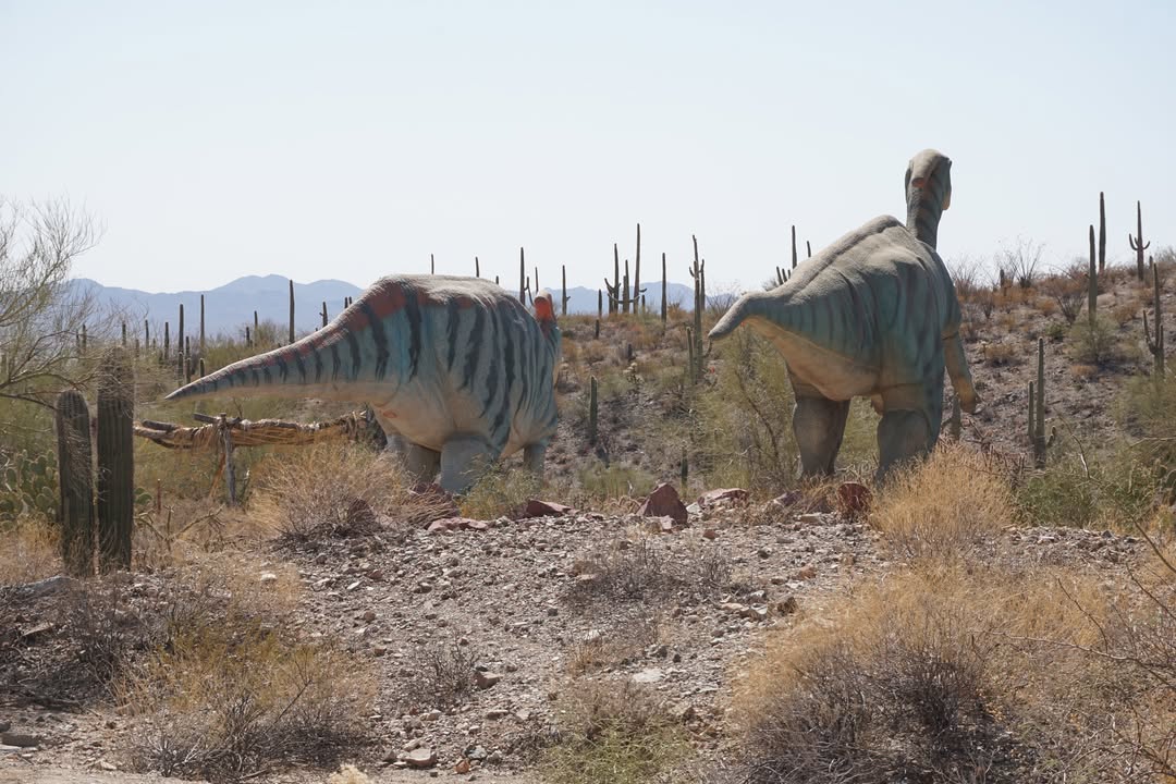 Arizona-Sonora Desert Museum