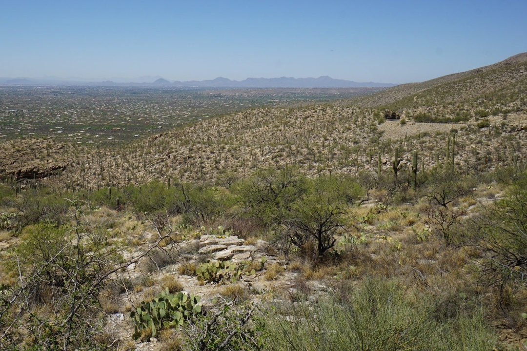 Babad Do'ag Scenic Overlook on Mt Lemmon