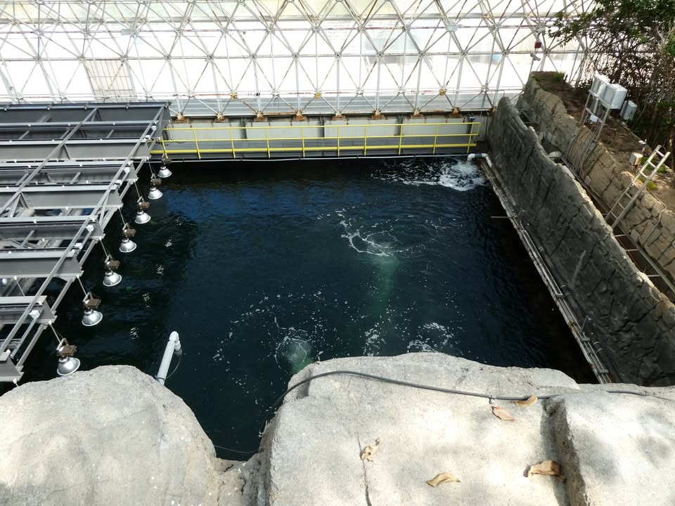 Biosphere 2 Coral Reef