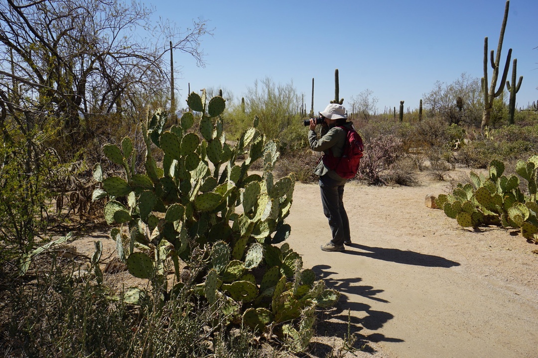 Desert Discovery Nature Trail