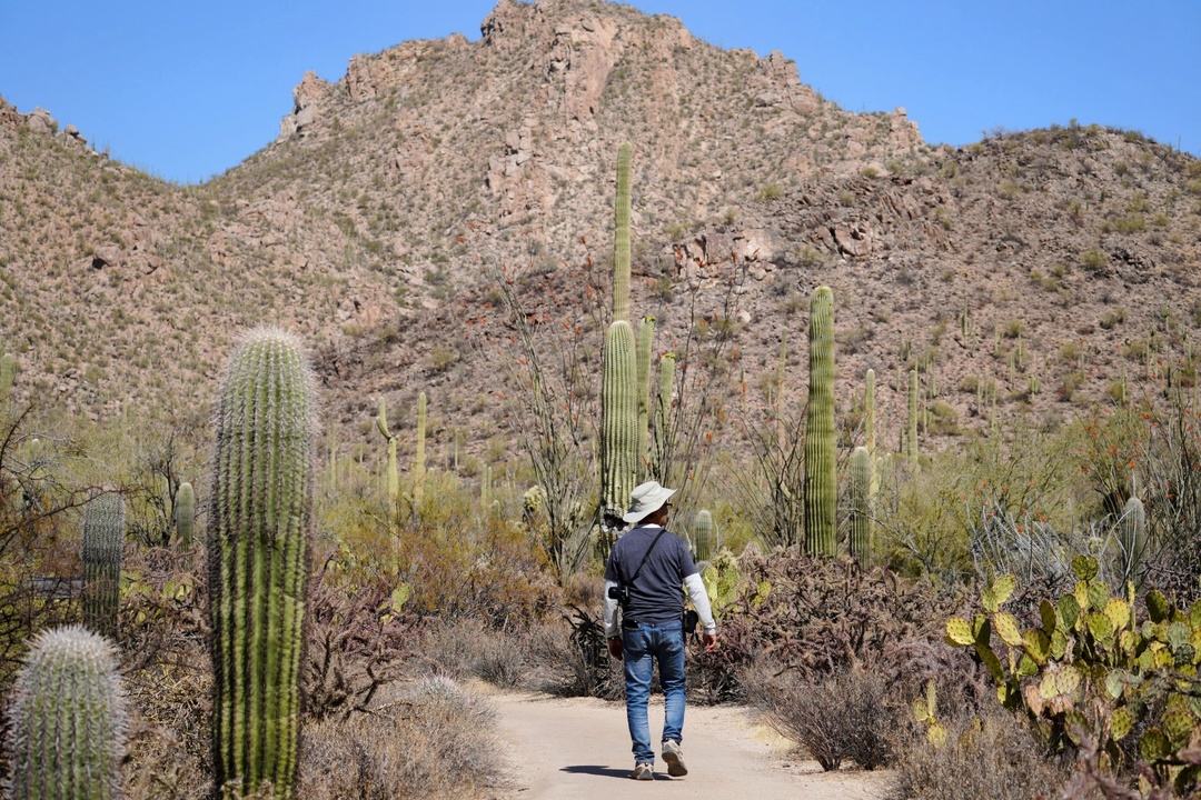 Desert Discovery Nature Trail