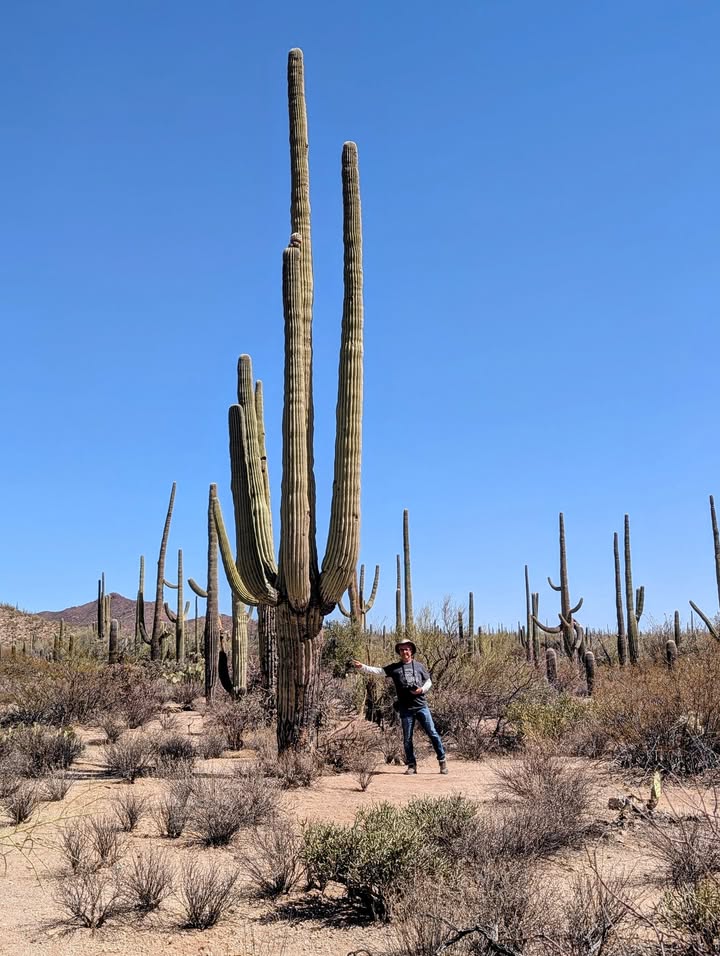Desert Ecology Trail