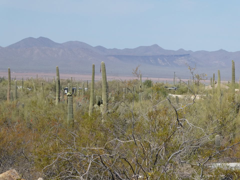 Gilbert Ray Campground