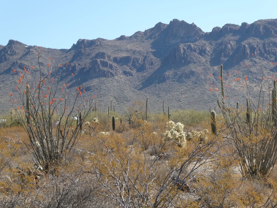 Gilbert Ray Campground