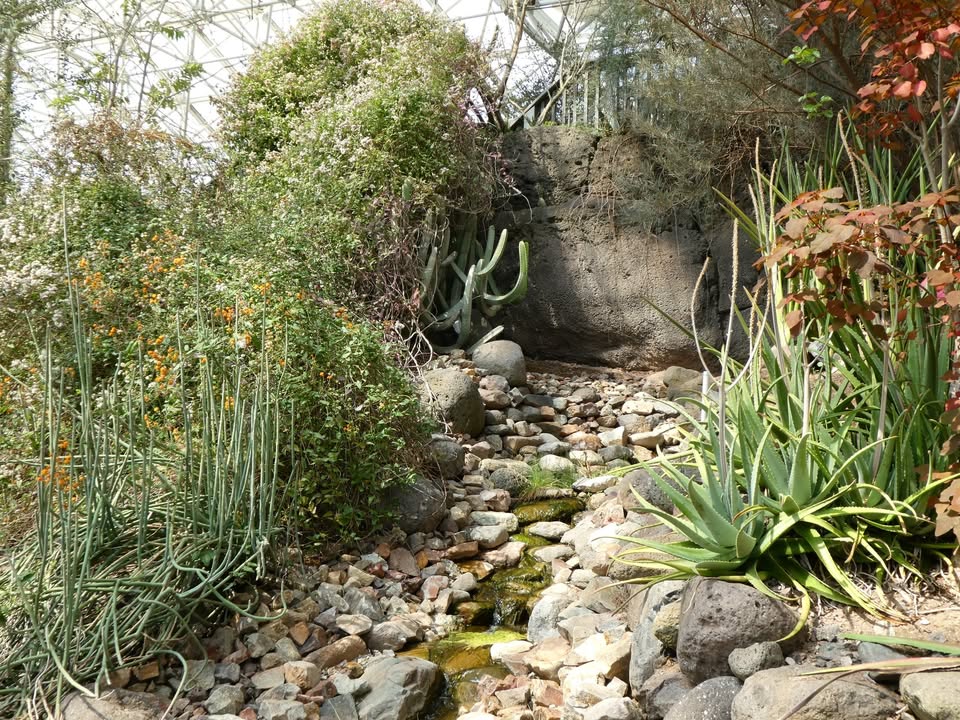 Inside Biosphere 2
