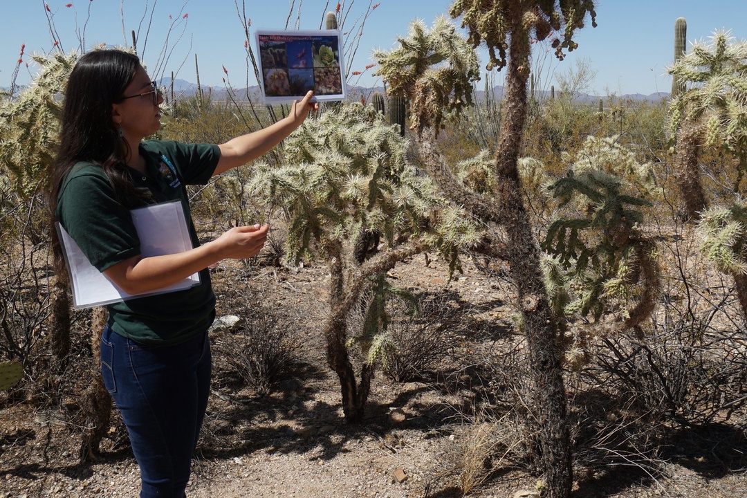 Ranger Walk At Visitor Center