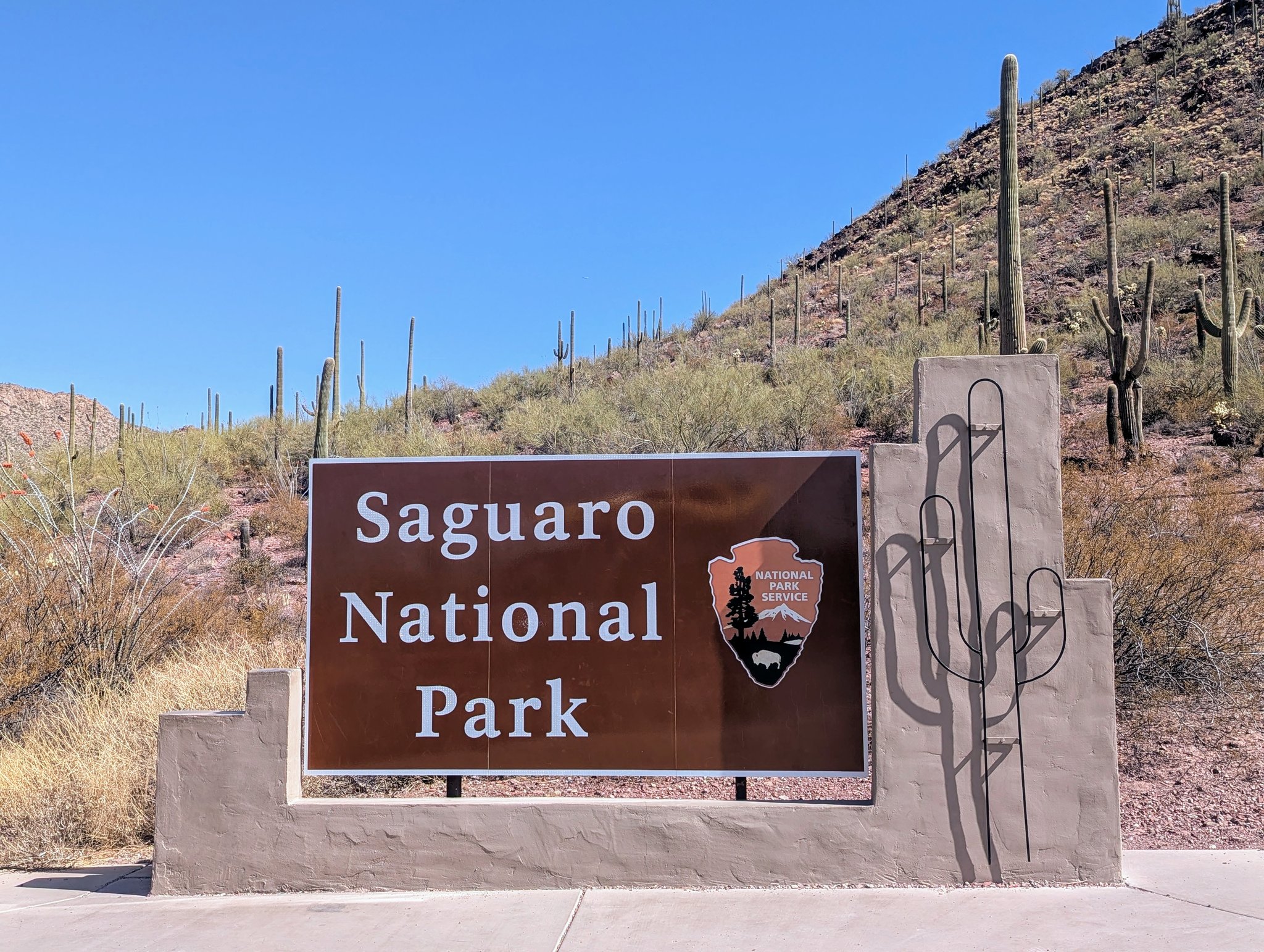 Saguaro National Park