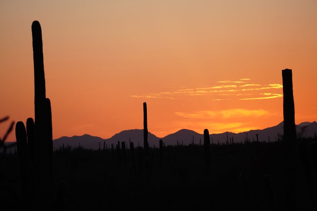 Sunset at Gilbert Ray Campground