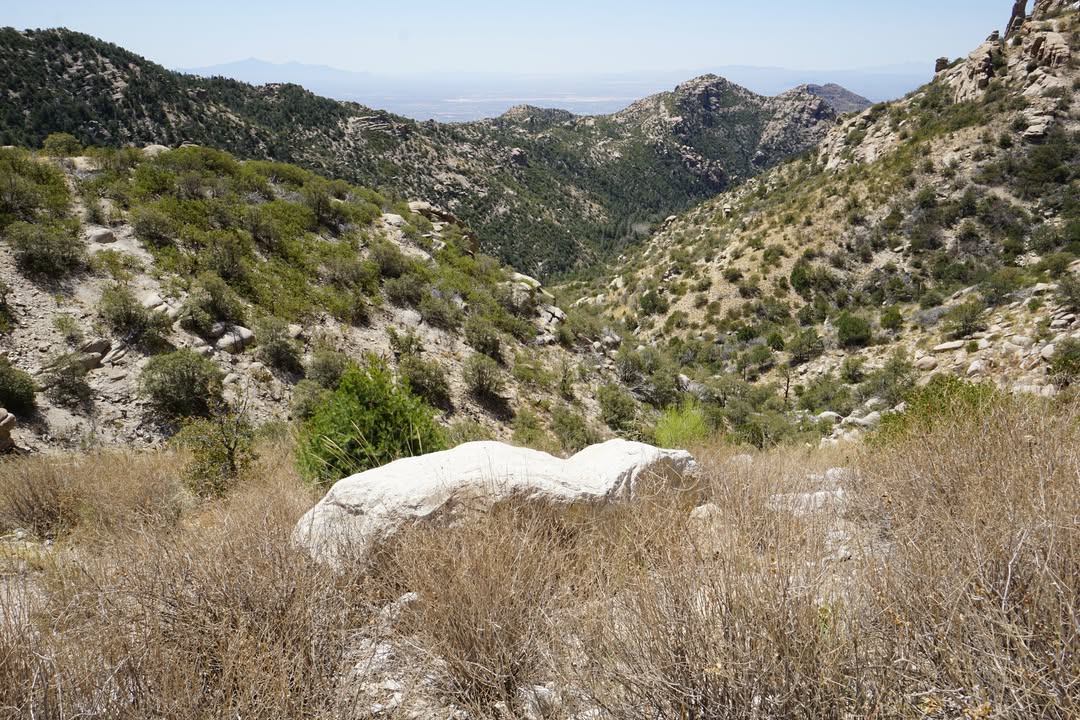 Views near Mount Bigelow Trailhead