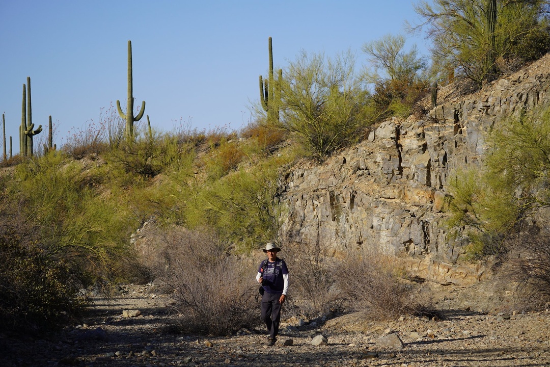Wrong Turn on Gould Mine Trail