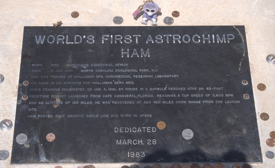 Plaque for HAM The Astrochimp