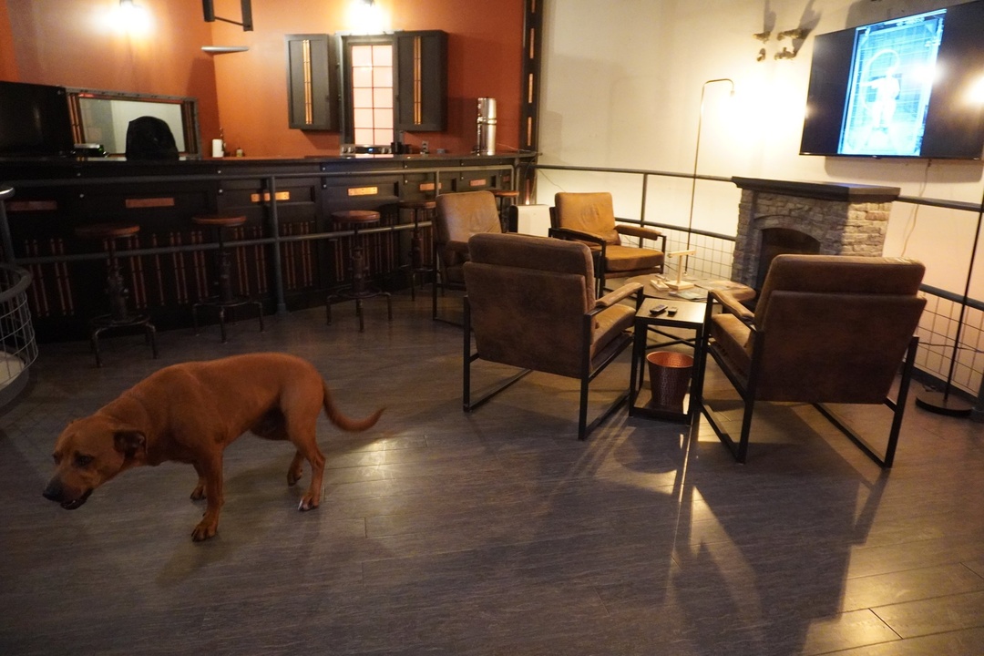 Missile Silo Airbnb Room