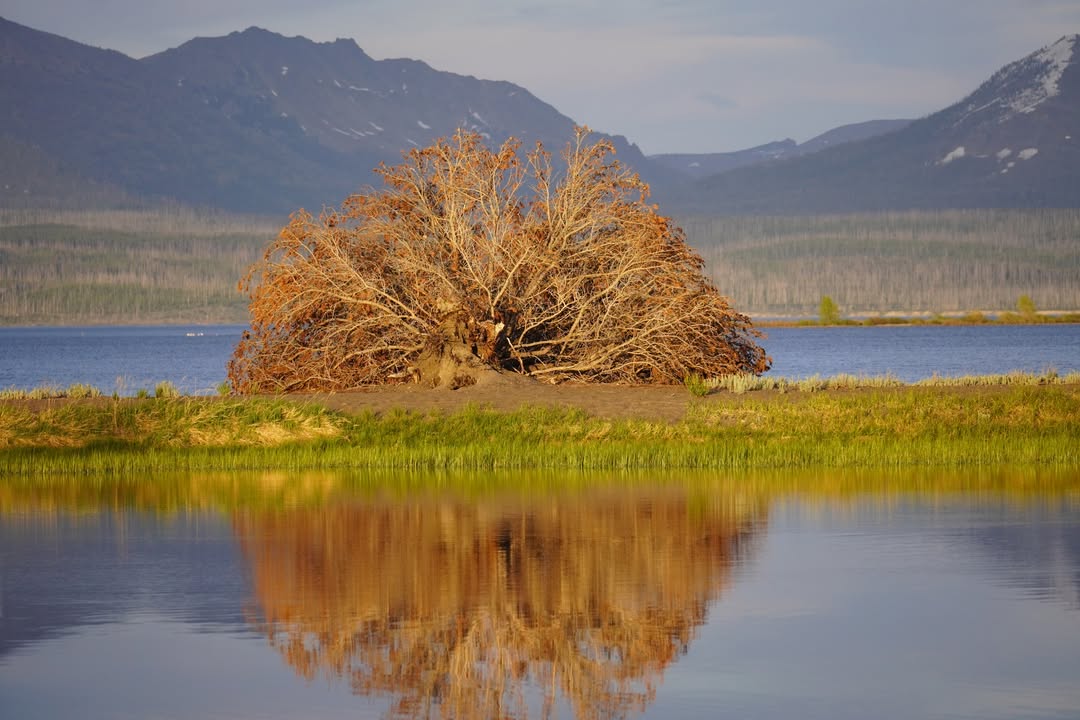 Yellowstone National Park, WY