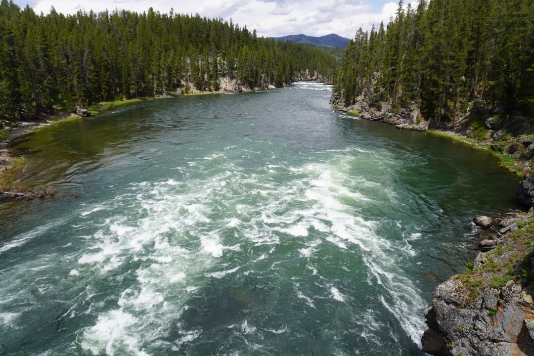 Yellowstone National Park, WY