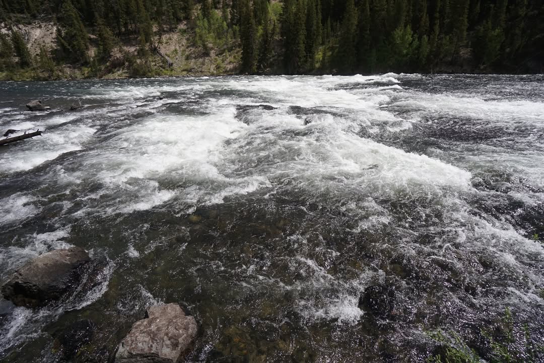 Yellowstone National Park, WY
