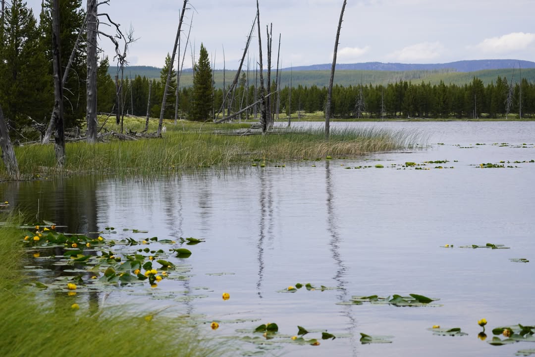Yellowstone National Park, WY