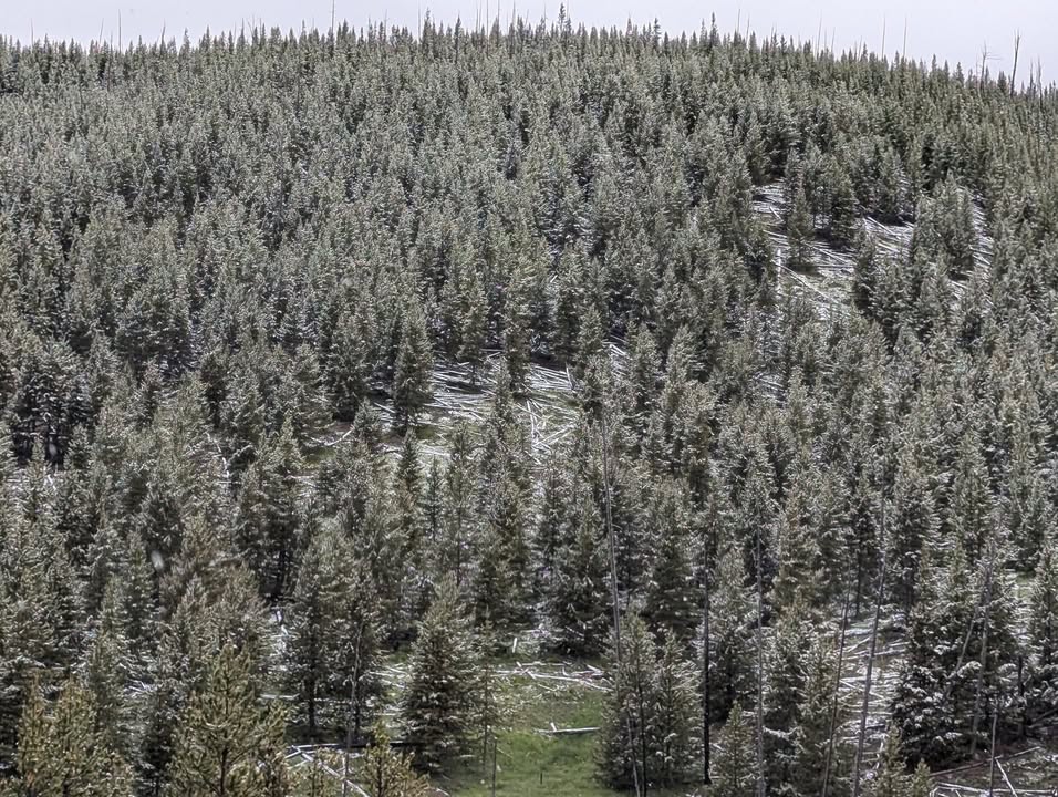 Yellowstone National Park, WY