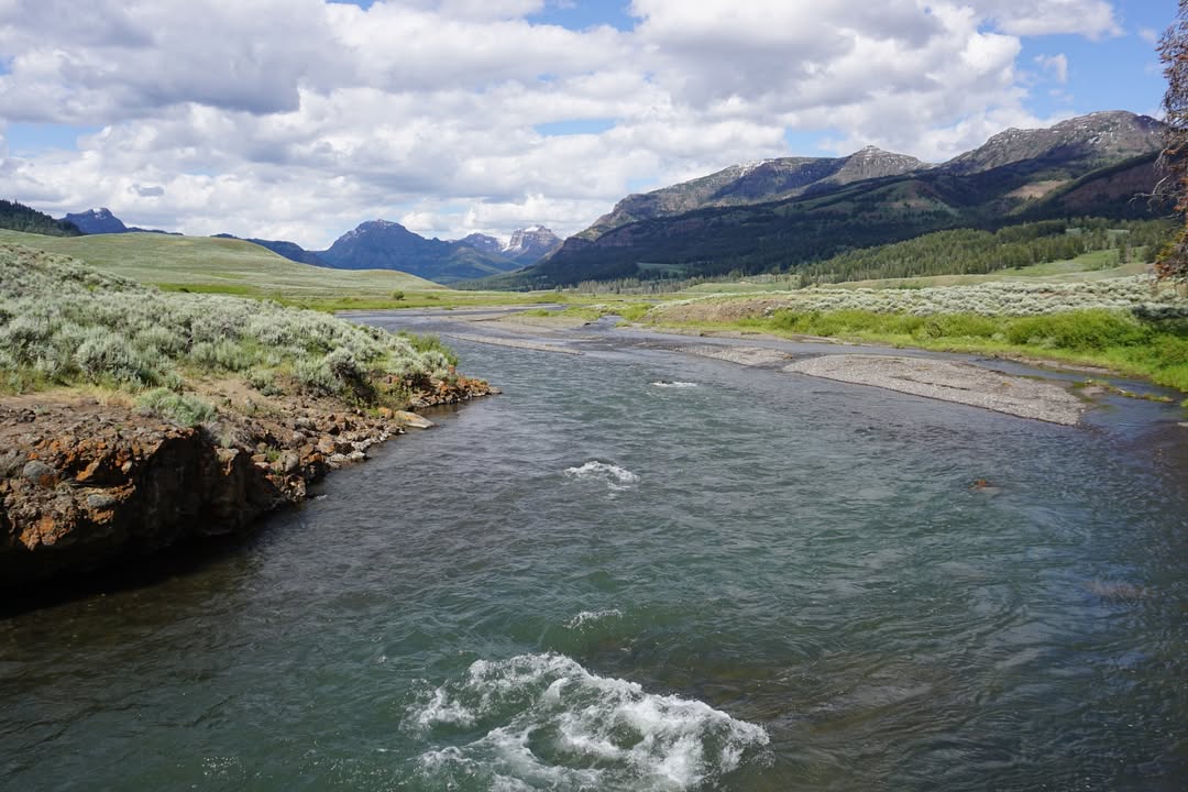 Yellowstone National Park, WY
